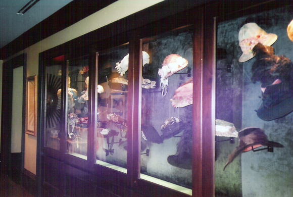 Mansion on Forsyth Park display case shot 2